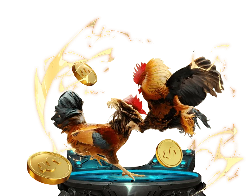 Cách cwin99 đăng nhập sử dụng dữ liệu để cải thiện dịch vụ